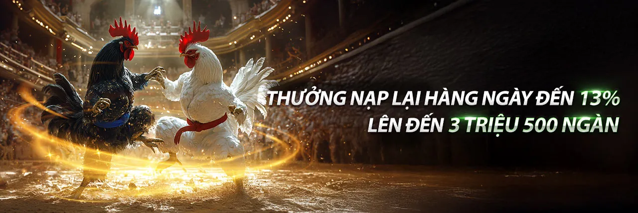 Sân vận động thể thao với logo 8xbet và khuyến mãi hấp dẫn