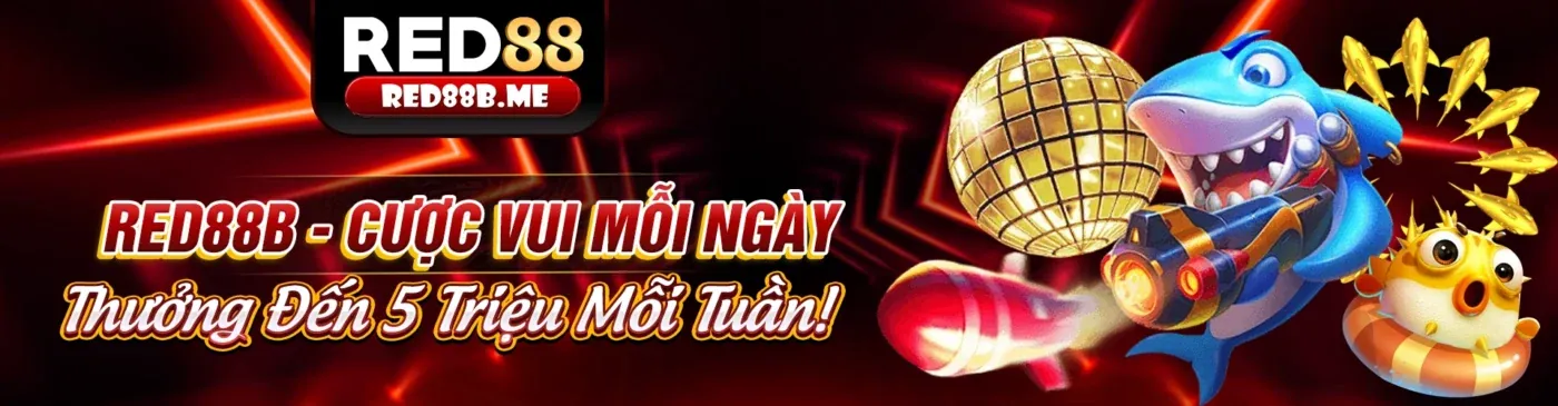 Ứng dụng 8xBet trên điện thoại với khuyến mãi hấp dẫn
